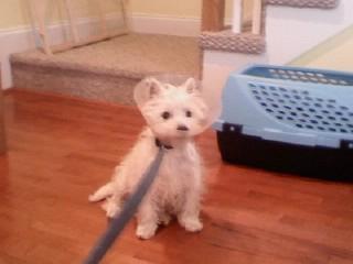 Busterandcone Busterandcone