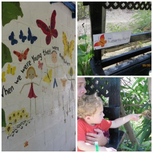 Butterfly Farm